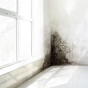 humedades fachada comunidad vecinos